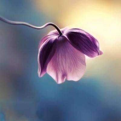 bd体育电竞官网/手机APP下载